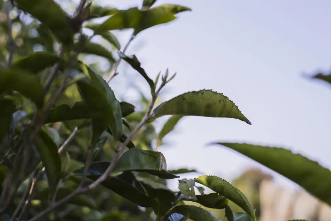 1712641322783761.png image.png