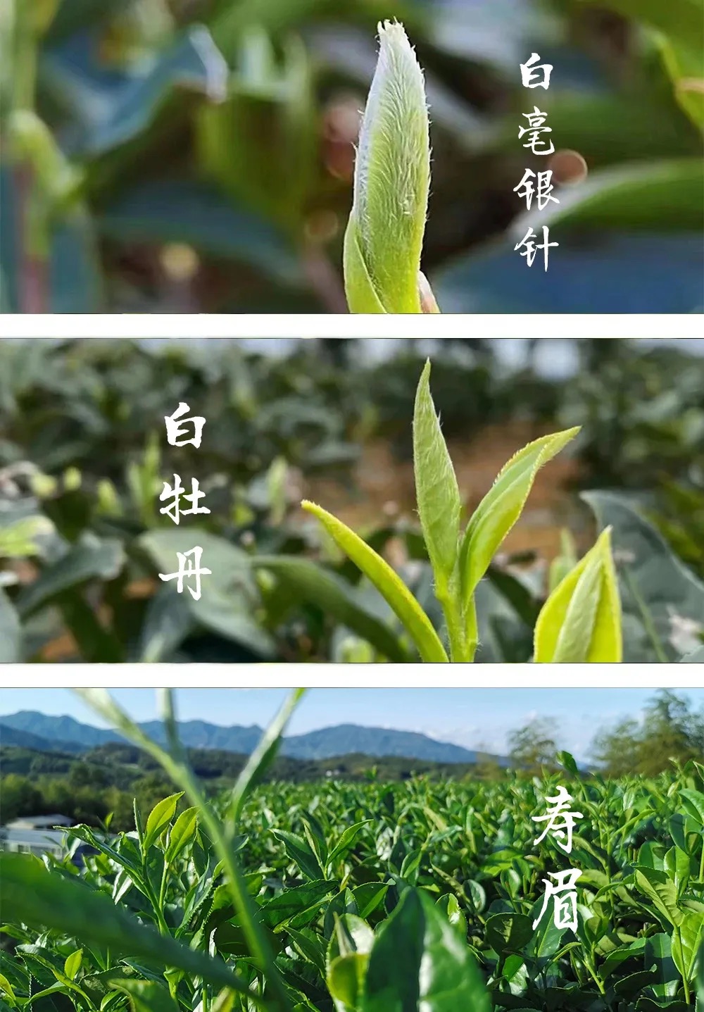 1712641394688262.png image.png