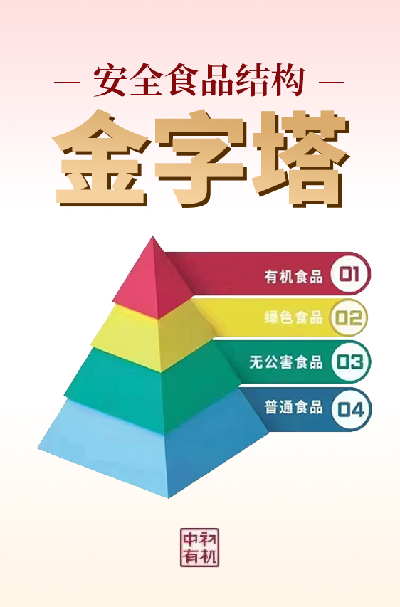 心系慈善！福建省扶贫公益服务协会为中初健康产业颁发公益证书