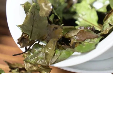 立春 | 春到人间草木知，春季养生正当时